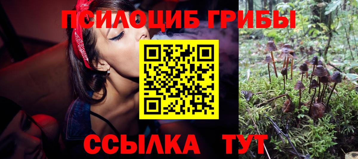 Галлюциногенные грибы мухоморы Новоуральск