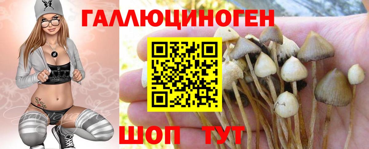 Галлюциногенные грибы Psilocybe  Галлюциногенные грибы ЛСД  Вход с VPN  Новоуральск 